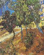 Vincent Van Gogh, Trees in the garden of the Hospital Saint-Paul